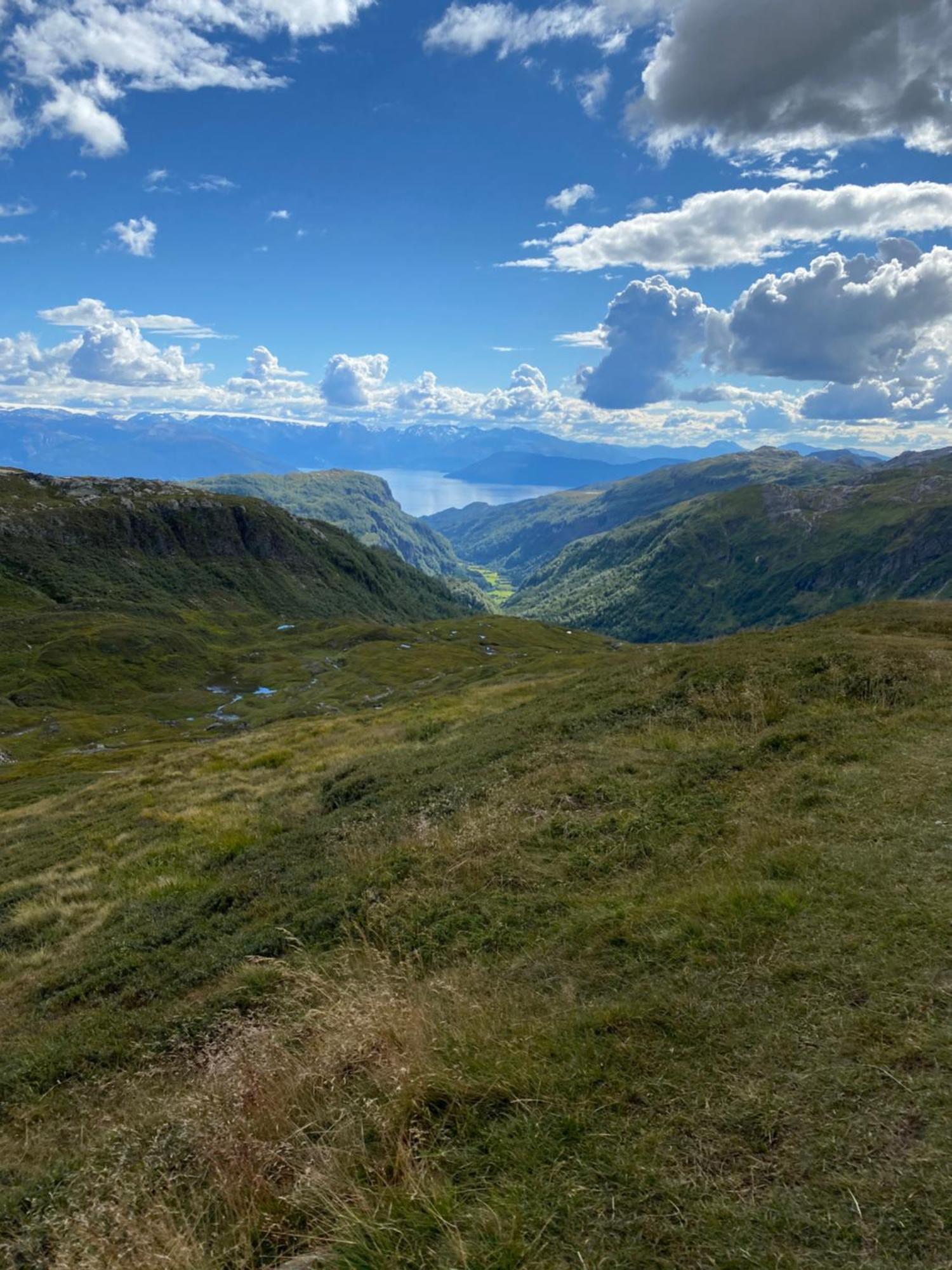 Kvamskogen & Hardanger Holliday Homes Norheimsund Exterior foto